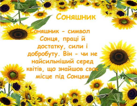 C:\Users\User\Downloads\9.jpg